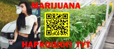 гидра Братск