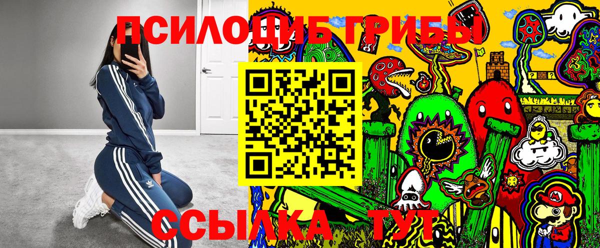 Псилоцибиновые грибы Magic Shrooms Горно-Алтайск